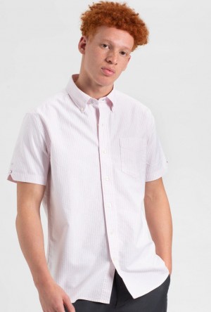 Ben Sherman Brighton Oxford Shirts Pink Stripes | EBKLZR-916